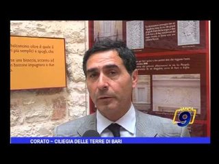 Corato | Ciliegia delle Terre di Bari