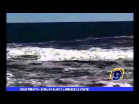 Isole Tremiti | Schiuma bianca lambisce le coste