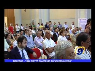 Bisceglie | Dal diritto di accesso all'eccesso civico