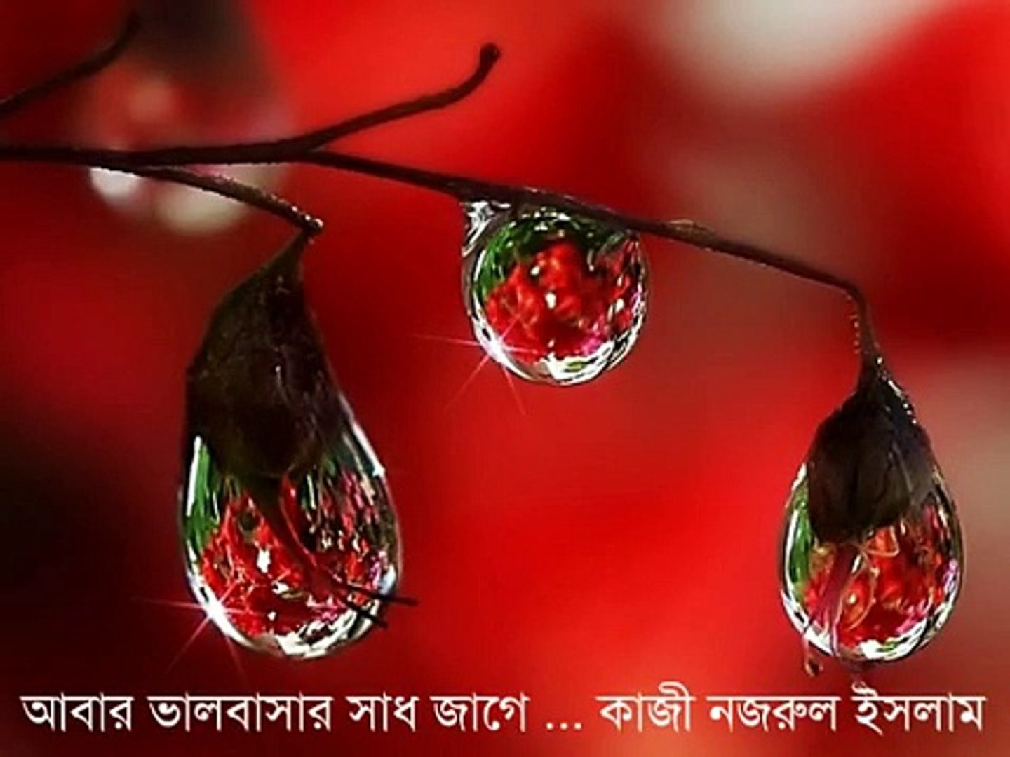⁣Abar bhalobasher shadh jage -Kazi Nazrul (Instrumental) by Bappa