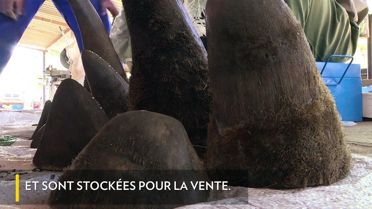 John Hume contre les braconniers