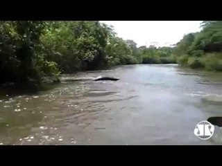 #TVJP Cobra gigante dá susto em amigos durante passeio de canoa