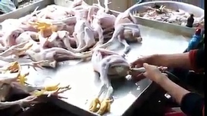 how chiken shops fraud be careful