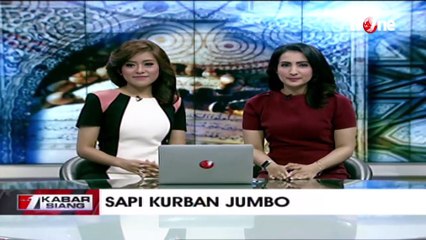 Cerita Pemilik Sapi "Jumbo" yang Dibeli Presiden Jokowi
