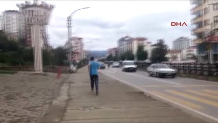 Trabzon'da Kaçan Boğa Trafiğe Daldı