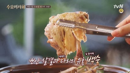 뽀얀 살결과 탱탱한 다리의 유혹! '백숙'