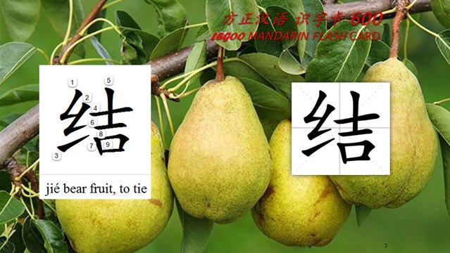 Origin of Chinese Characters - 0659A 结 結 jié bear fruit - Learn Chinese with Flash Cards