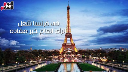 شاهد فى دقيقة.. كلاب فى نعيم".. نيمو الإليزيه" ليس الأول