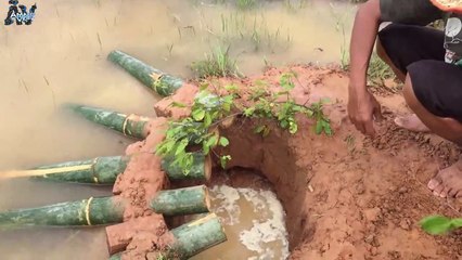 Un incroyable piège à poissons avec du bambou qui fonctionne parfaitement