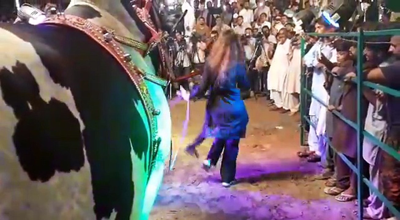 پاکستان کی مویشی منڈیوں میں سنت ابراہیم کے ساتھ ھونے والا بے ھودہ مذاق. اللہّ... (1)