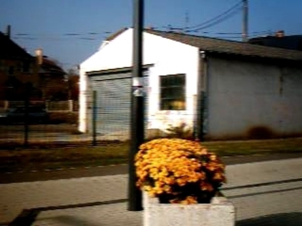 IMAG0002