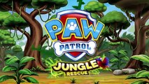 TOP 5 of PAW PATROL PSI PATROL SPIN MASTER TV TOYS COMMERCIALS