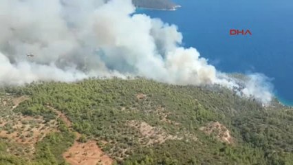 Milas' Ta Orman Yangını 2