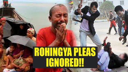 Rohingyas being killed in the name of extremist cleaning; everyone is mum | Oneindia News