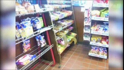 Tổng hợp những con vật KHỐN NẠN nhất hành tinh - YouTube