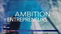 LCI - Jingle Ambition d'Entrepreneurs (2017)