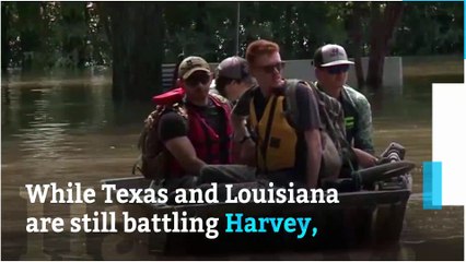 Irma intensifying rapidly in the Atlantic