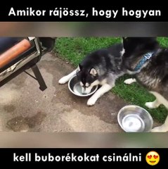 Amikor rájössz, hogy hogyan kell buborékokat csinálni 