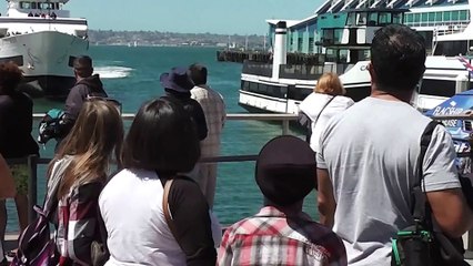 Un bateau de croisière fonce droit dans un quai du port de San Diego