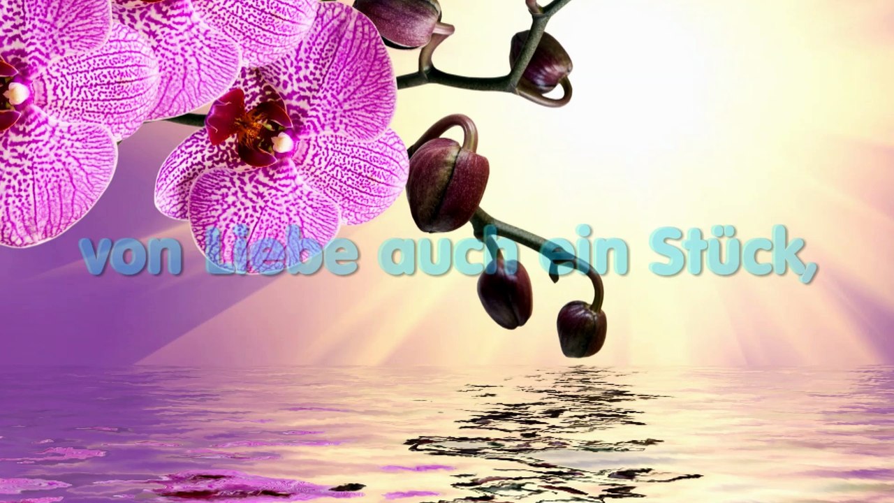 Herzlichen Glueckwunsch zum Geburtstag