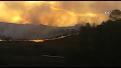 Kars'ta Askeri Bölgede Orman Yangını
