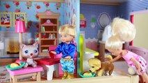 Barbie DOG POOP DOLL   Puppy JAIL Frozen Kids Toby Dog Sitting Toy FREAKS Chelsea KidKraft
