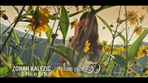 Halid Beslic  i Zoran Kalezic - Nocne ptice legende narodne muzike