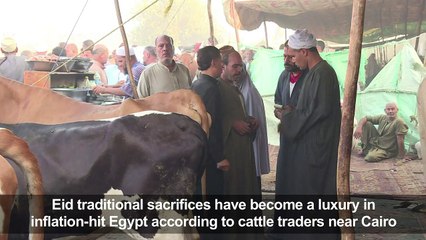 In inflation-hit Egypt, Eid sacrifices are a luxury