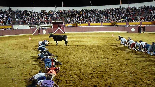 Course à 4 pattes au milieu d'une corrida et d'un taureau fou !