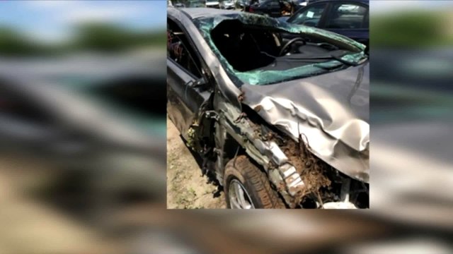 Woman Reunited With Firefighter Who Saved Her Life