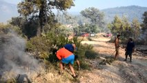 Muğla'daki Orman Yangını Kontrol Altına Alındı