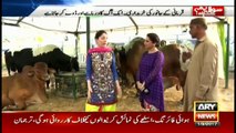 Sawal Yeh Hai 1st September 2017