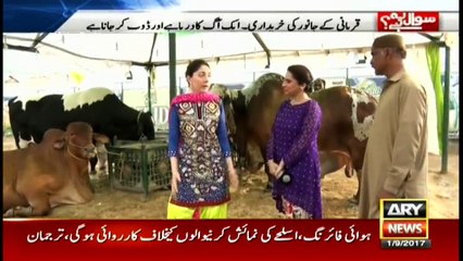 Sawal Yeh Hai 1st September 2017