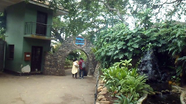 Dehiwala Zoo - Sri Lanka (2017) part 2