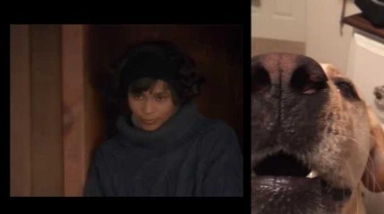 Ce chien tient presque aussi bien la note que Whitney Houston