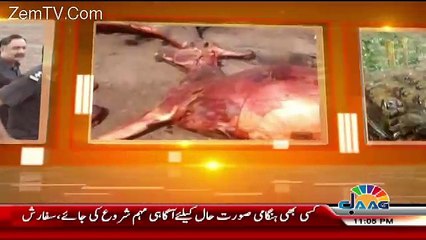 Special Transmission On Jaag Tv – 1st  September 2017