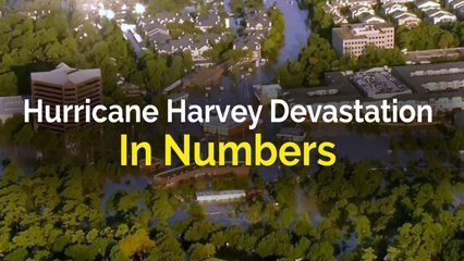 Télécharger la video: Hurricane Harvey devastation in numbers