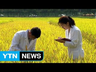 농업기술 파급 효과 9조 원 추산 / YTN