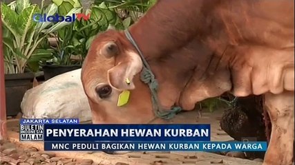 Скачать видео: MNC Peduli Bagikan Hewan Kurban kepada Warga di Kelurahan Rawa Barat