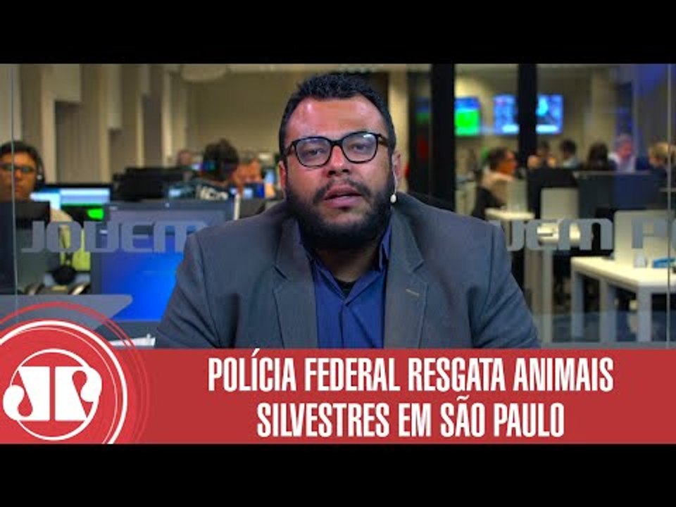 PF resgata animais exóticos em ação contra tráfico | Jornal da Manhã | Jovem Pan