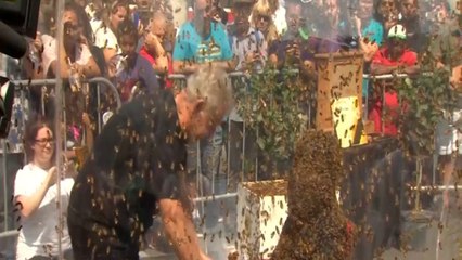 New 'bee beard' record set in Toronto