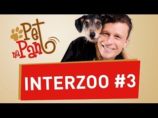 Interzoo #3 - confira as últimas novidades em aquários para seus peixinhos