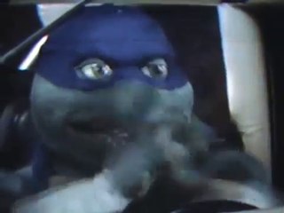 Older Mutant Ninja Turtles - No longer teenage