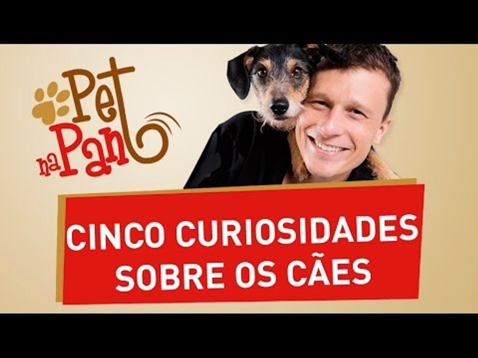 Pet na Pan #05 - cinco curiosidades sobre os cães