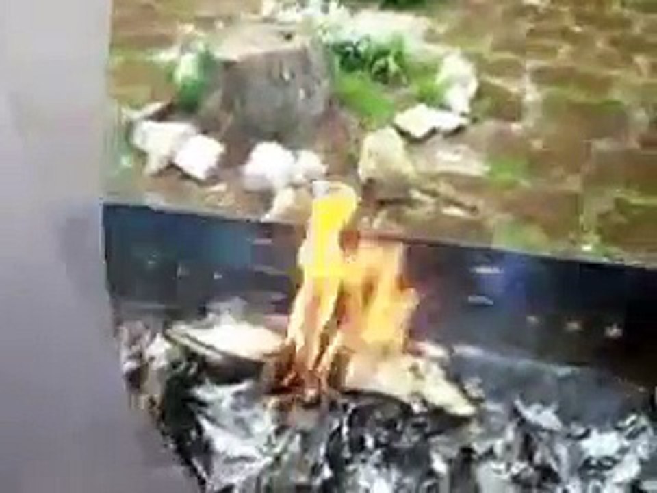 El Fan de Saint Seiya que quemo el Manga de The Lost Canvas