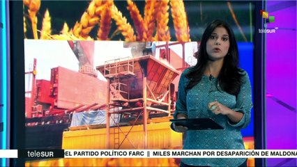 Llega a Venezuela primer cargamento de trigo ruso para producir pan