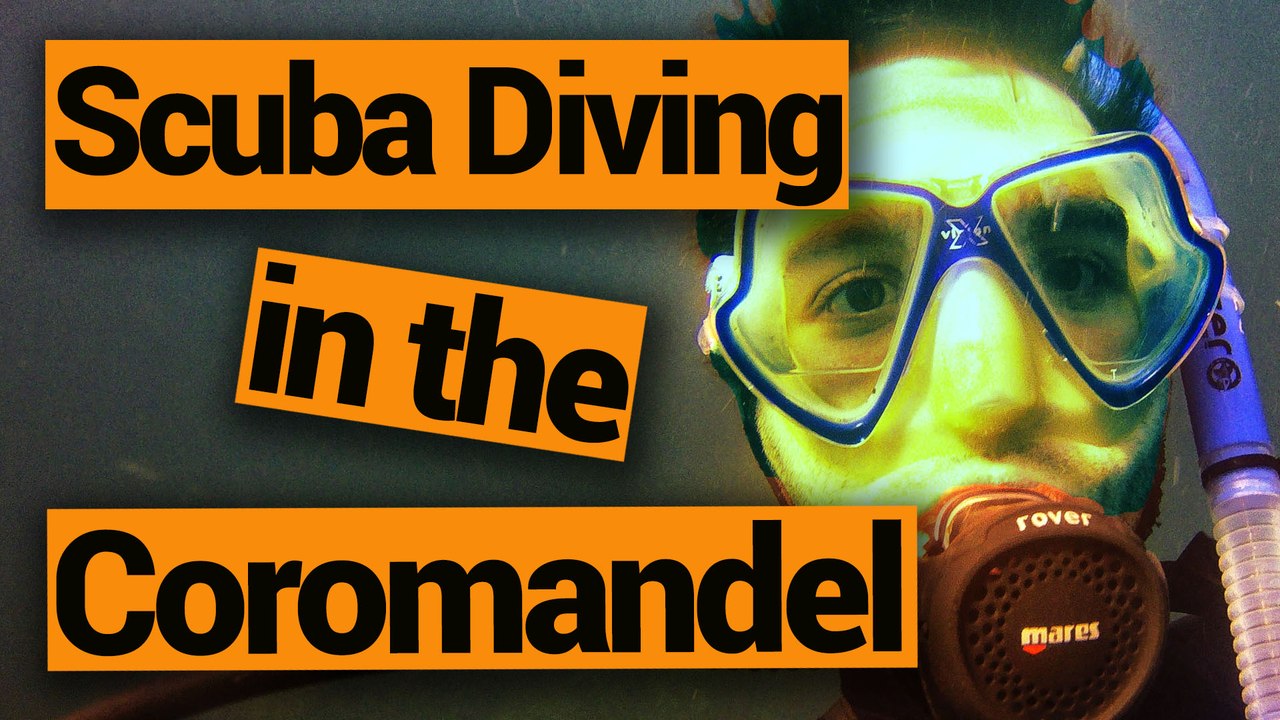 Scuba Diving in the Coromandel with Dive Zone Whitianga - New Zealand's Biggest Gap Year - Backpacker Guide New Zealand