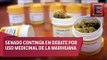 Senadores llegan a acuerdo sobre uso medicinal de la marihuana