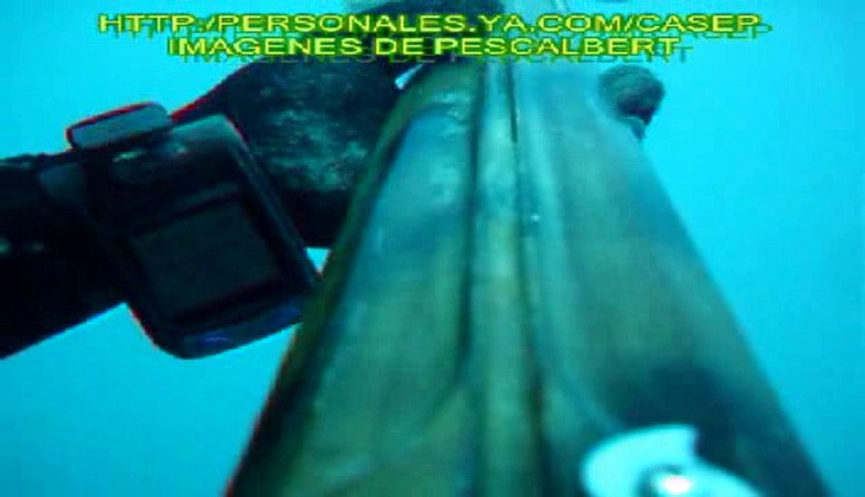 Documental - Pesca submarina - Pescalbert