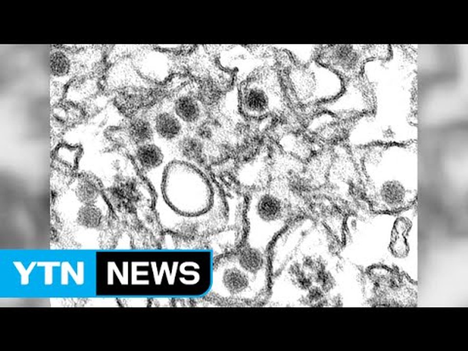 '지카 바이러스' 동남아시아까지 확산...국내 전파 시나리오 / YTN
